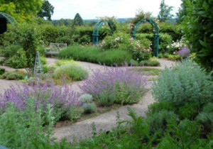 herb-garden-wisley_7294.jpg